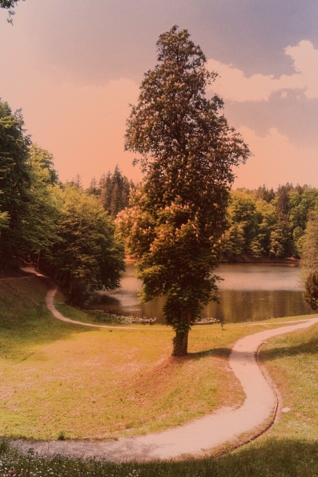 Прекрасная природа обои