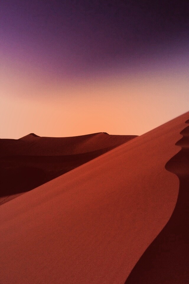 Люны в Намибии обои