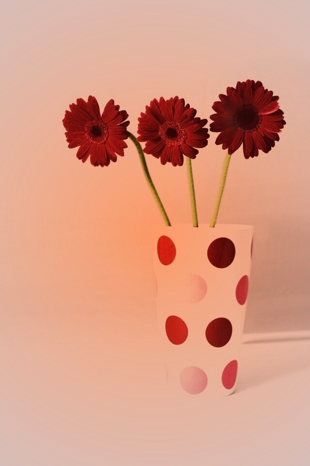 Вазочка с тремя красными герберами обои