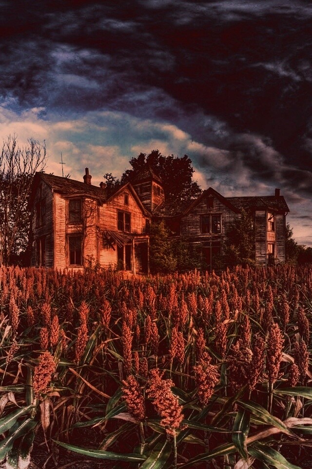 Заброшенный дом  обои