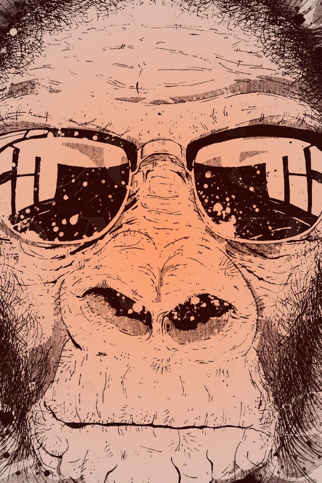 Макака в очках обои