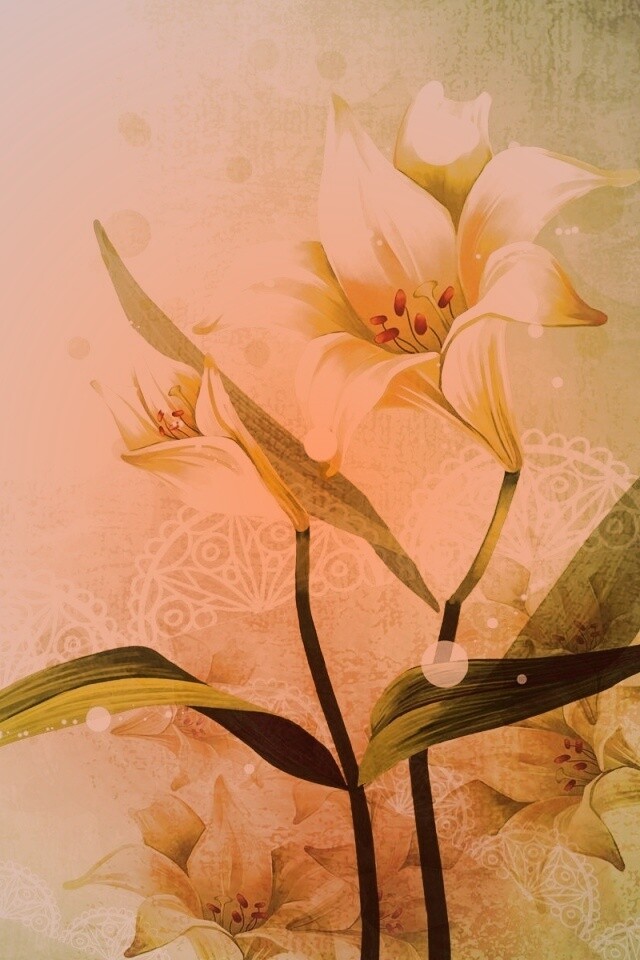 Красивое изображение лилии обои