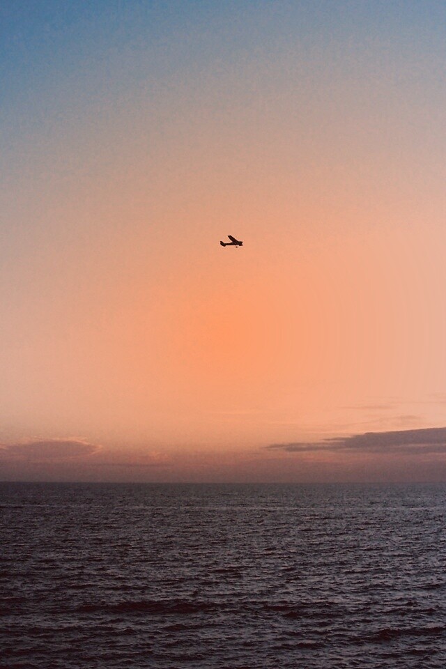 Паращий над морем обои