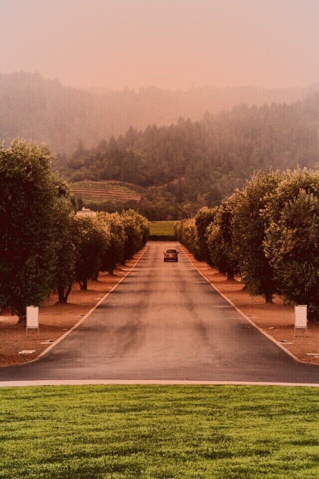 Сельский пейзаж обои