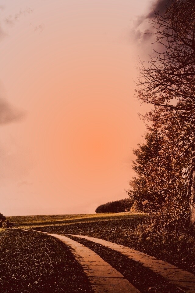 Солнечные холмы обои