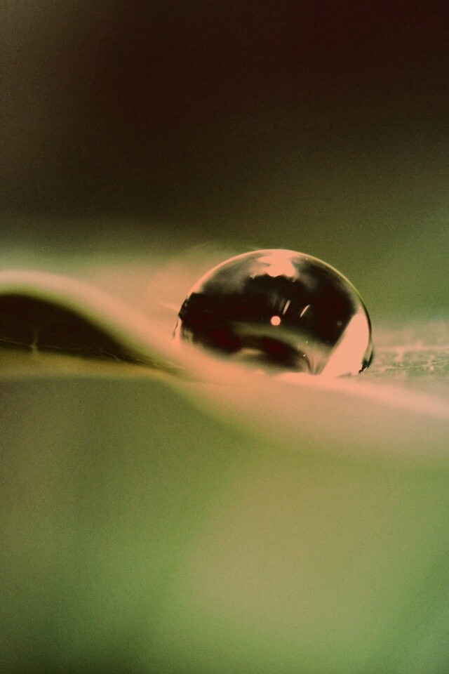 Фотография капли воды в макро обои
