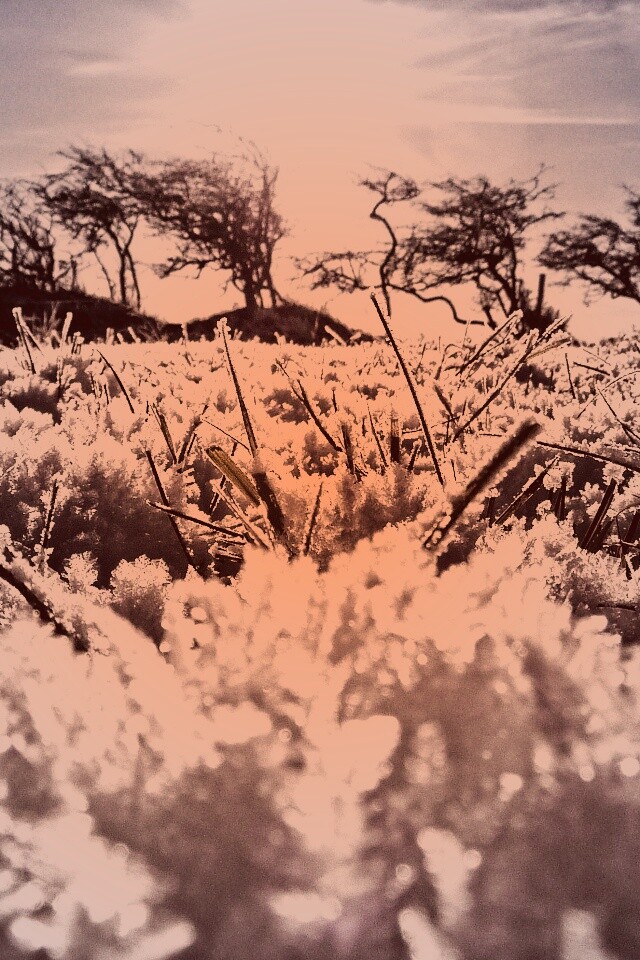 Утренний мороз обои