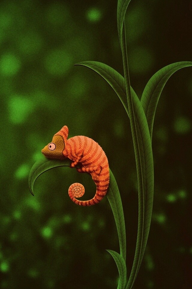 Хамелеон замаскированный под улитку обои