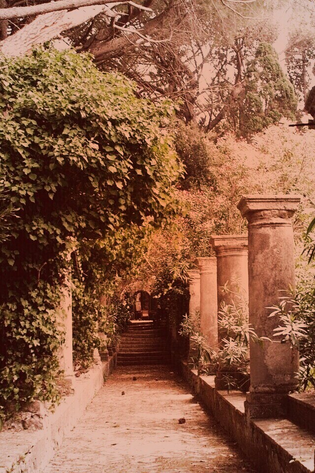 Галерея зимнего сада обои