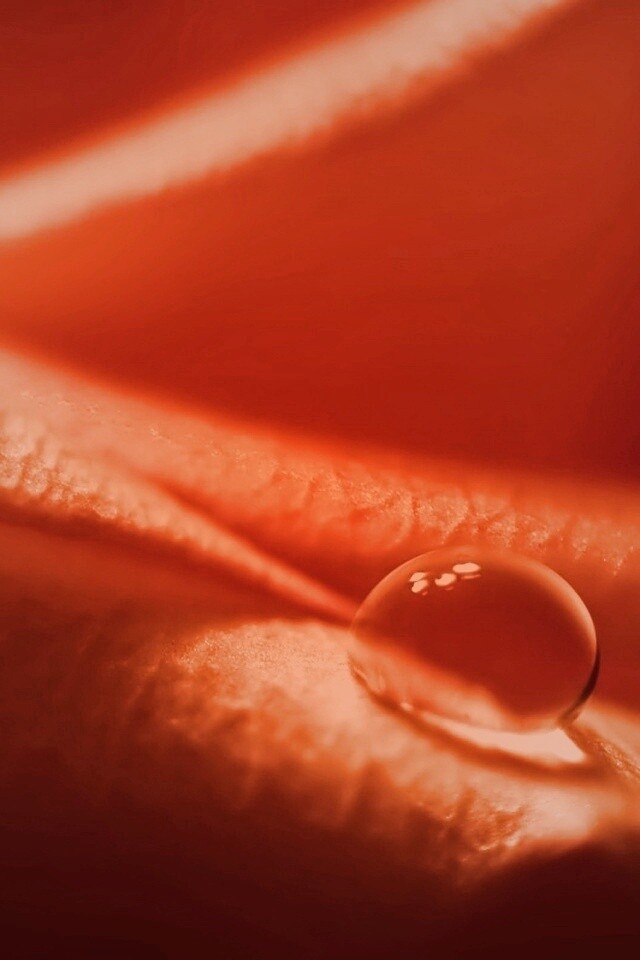 Капелька обои