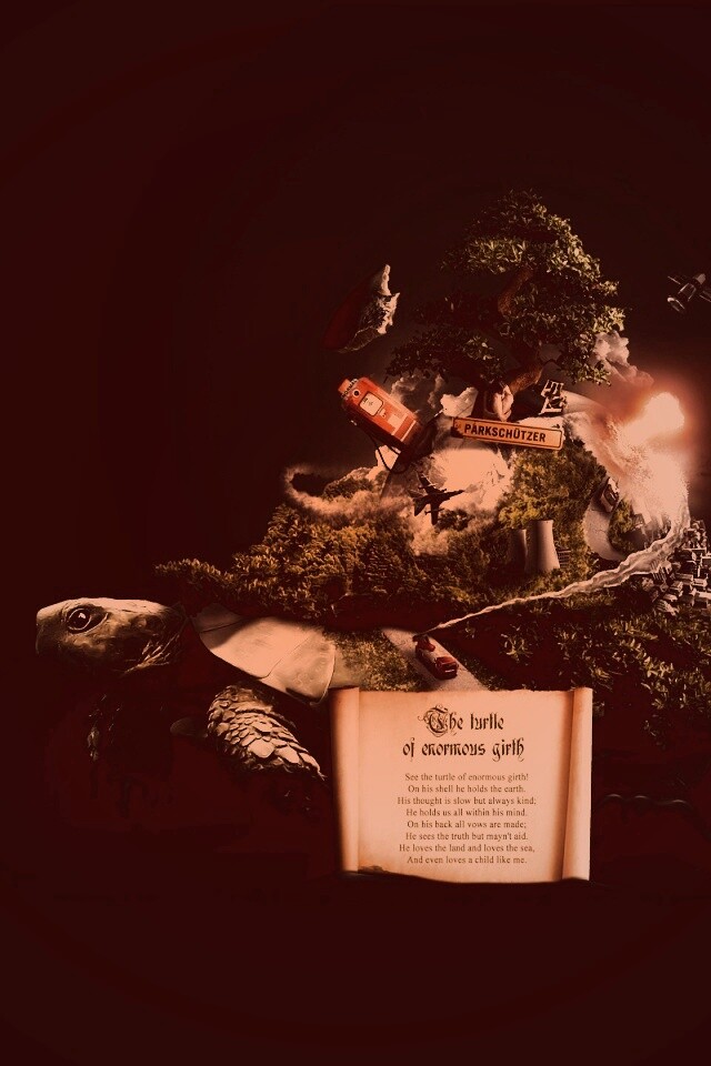 Огромная в обхвате черепаха обои