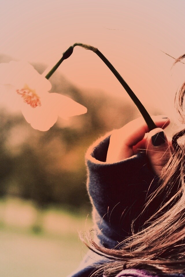 Девушка с нарциссом в руке обои