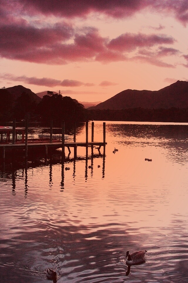 Причал на озере и утки обои