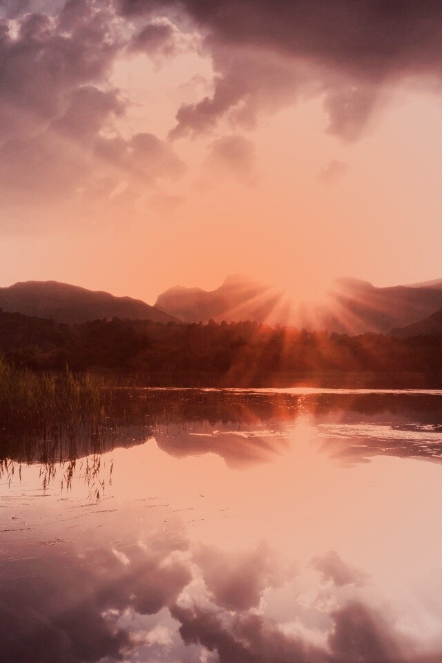 Закат за лесом обои