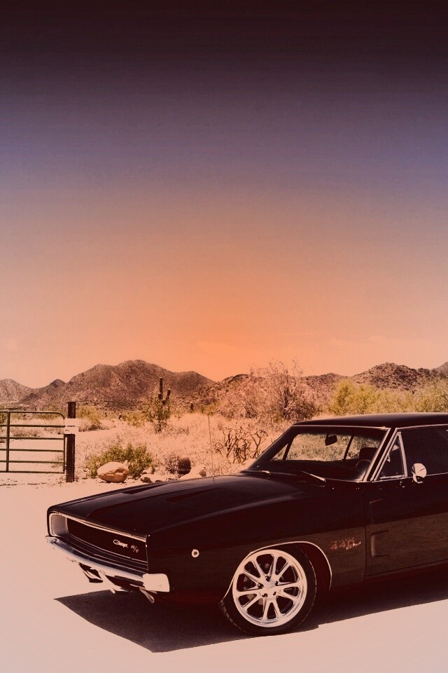 Мускулкар под палящим солнцем обои