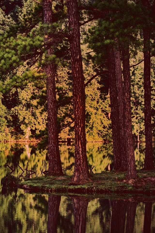 Островок посреди озера обои