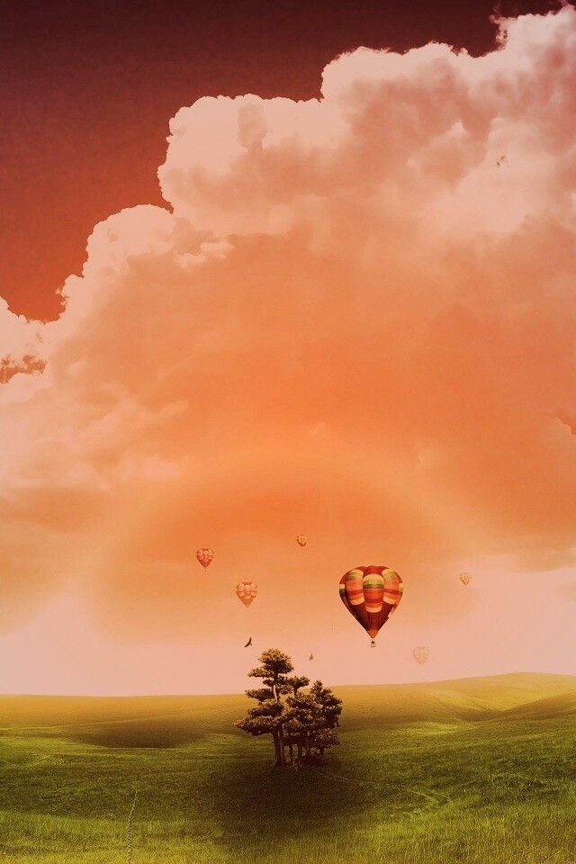 Мечты о полёте обои