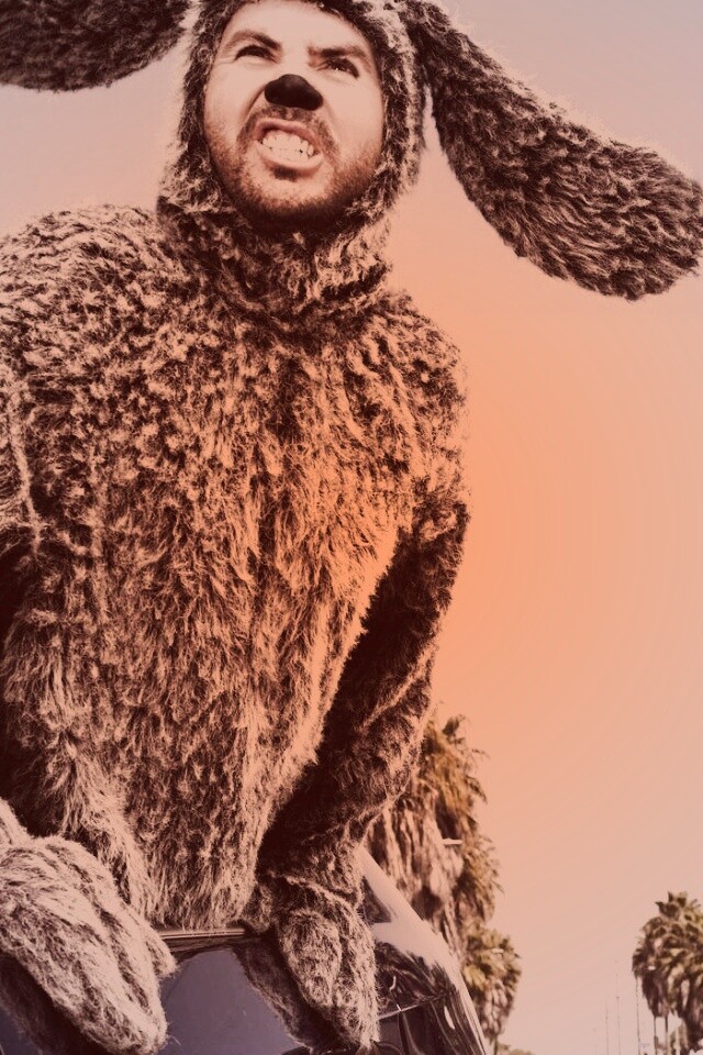 Wilfred обои