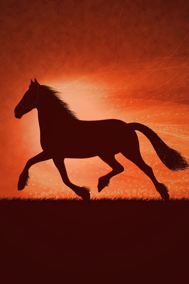 Силует коня на закате обои