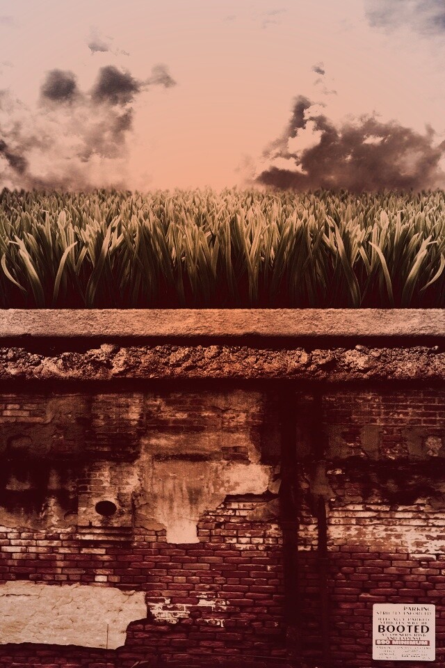 По другю сторону обои