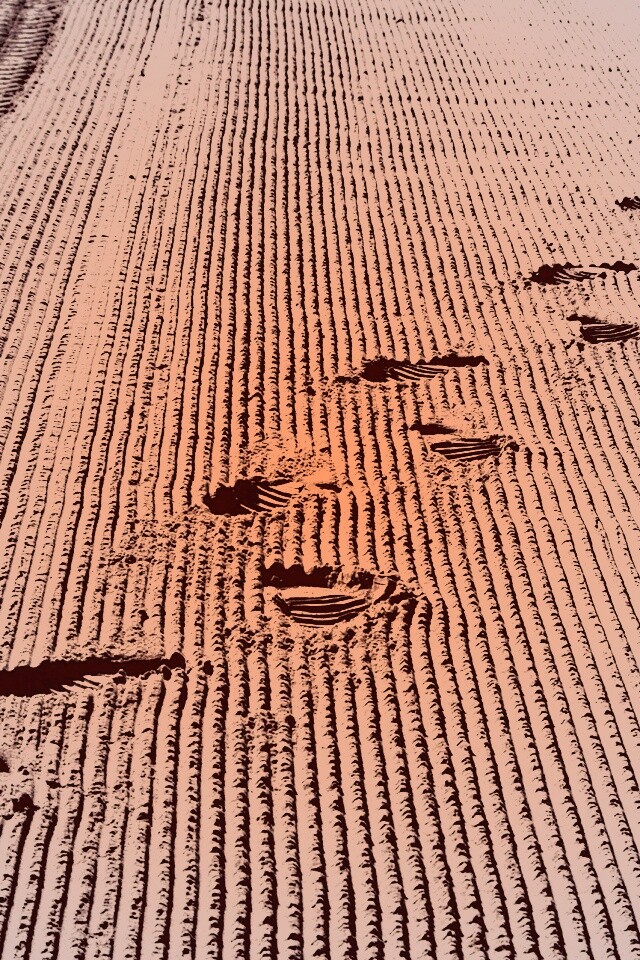 Следы на песке обои