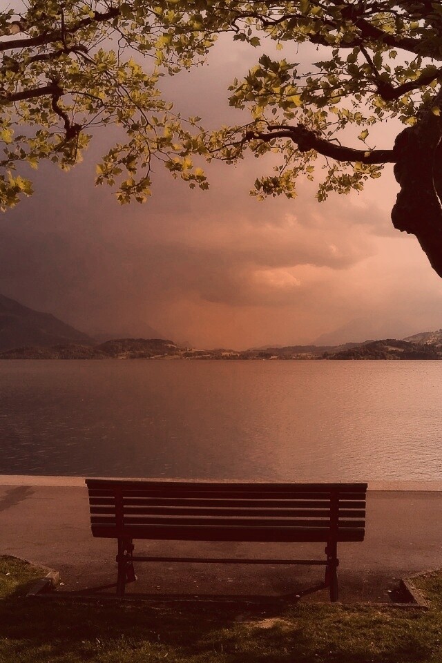 Скамейка на берегу обои