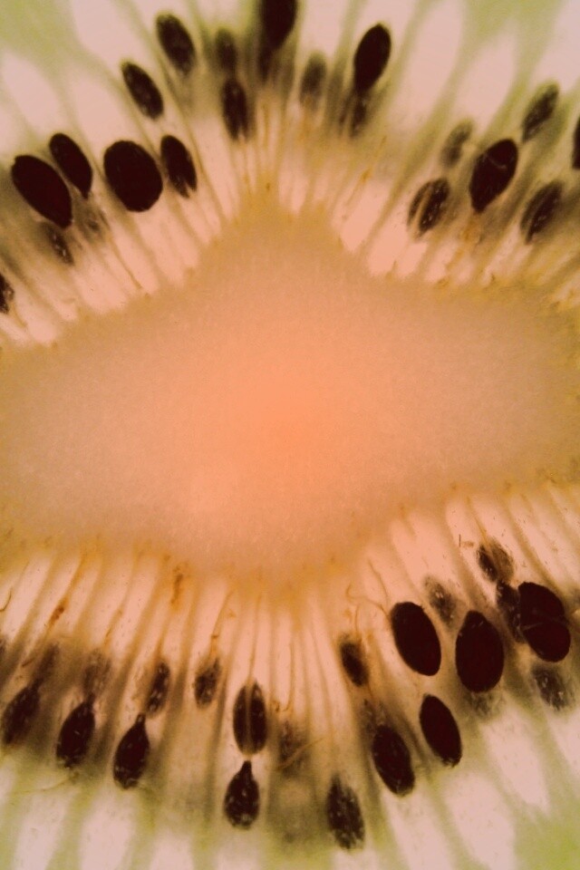 Макро фото киви в разрезе обои