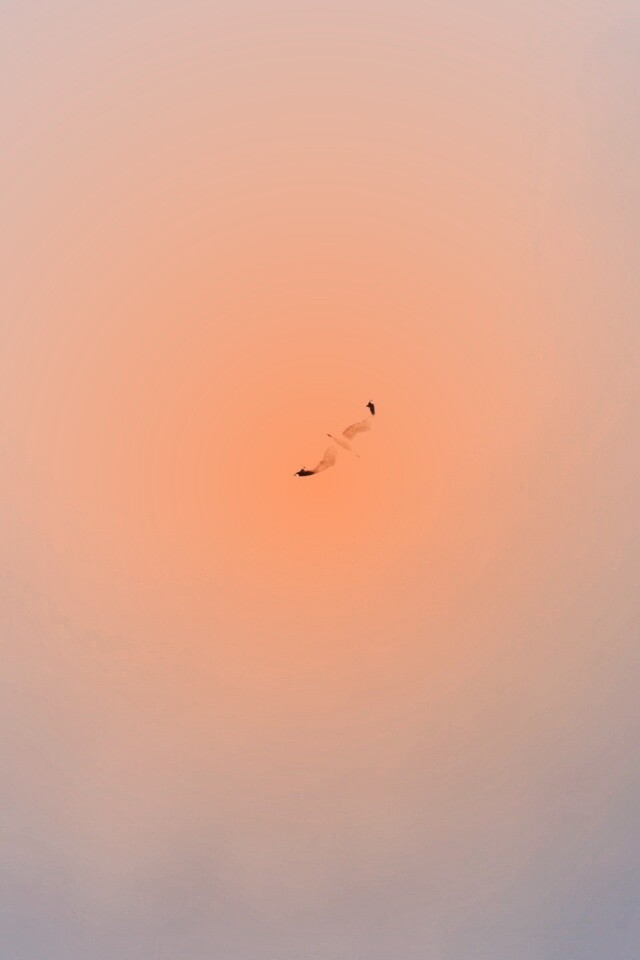 Полет  обои