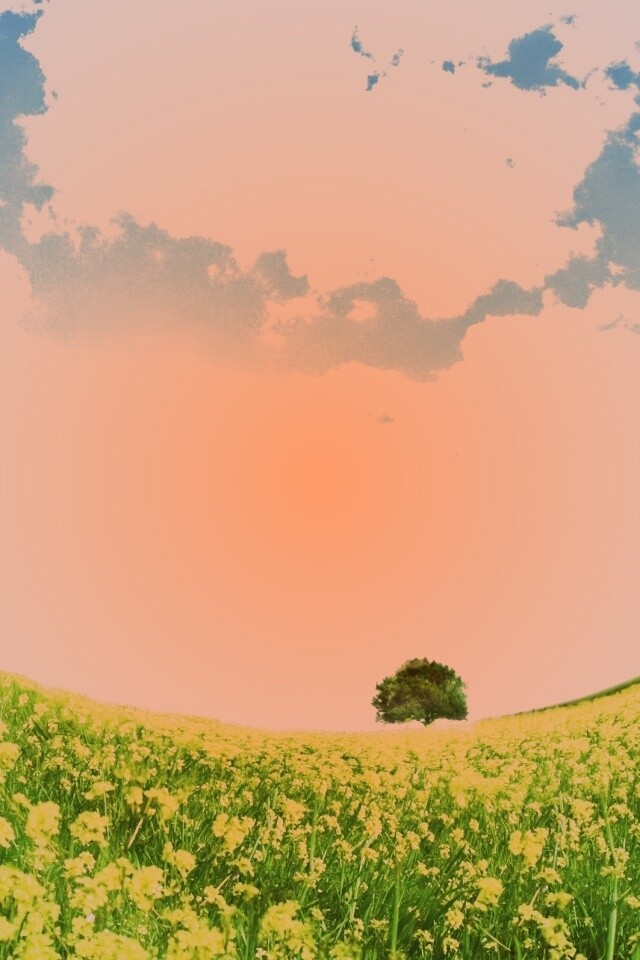 Искаженный мир обои