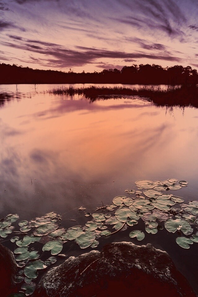 Озеро поздним вечером обои