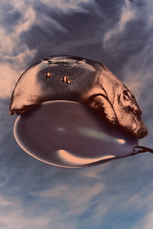 Водяной гиппопотам на шарике обои