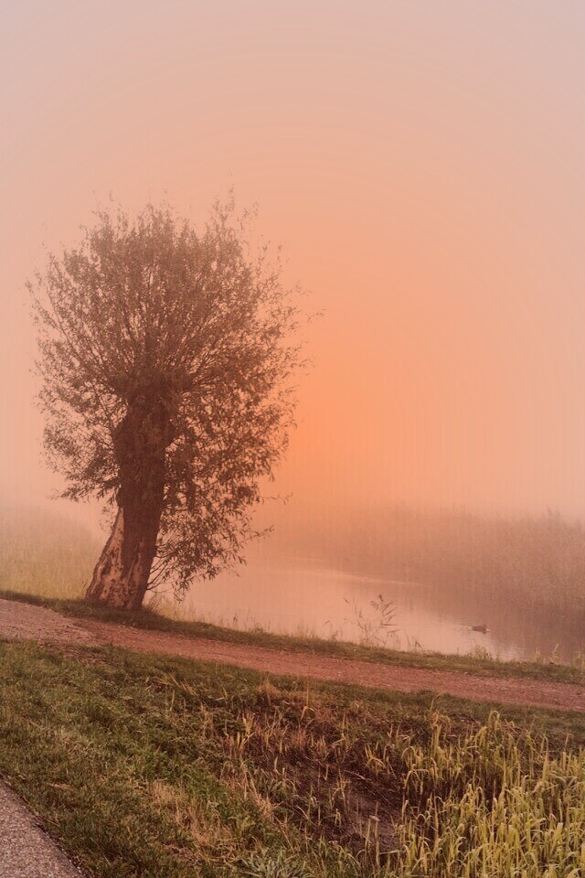 Дорога растворяется в тумане обои