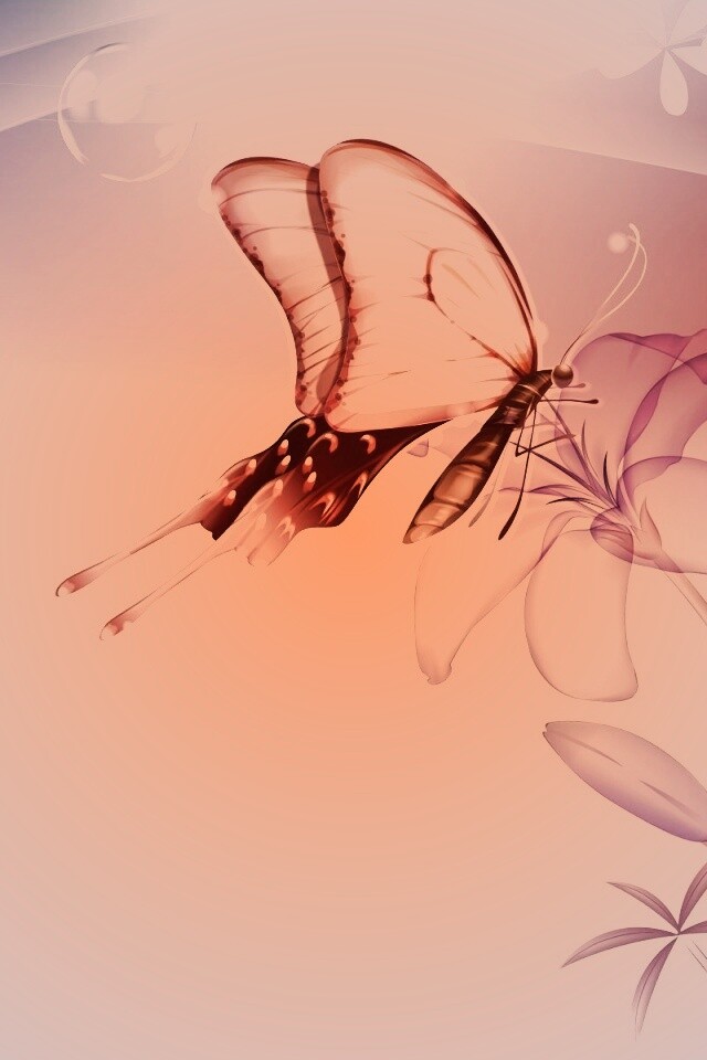 Сказочная бабочка обои