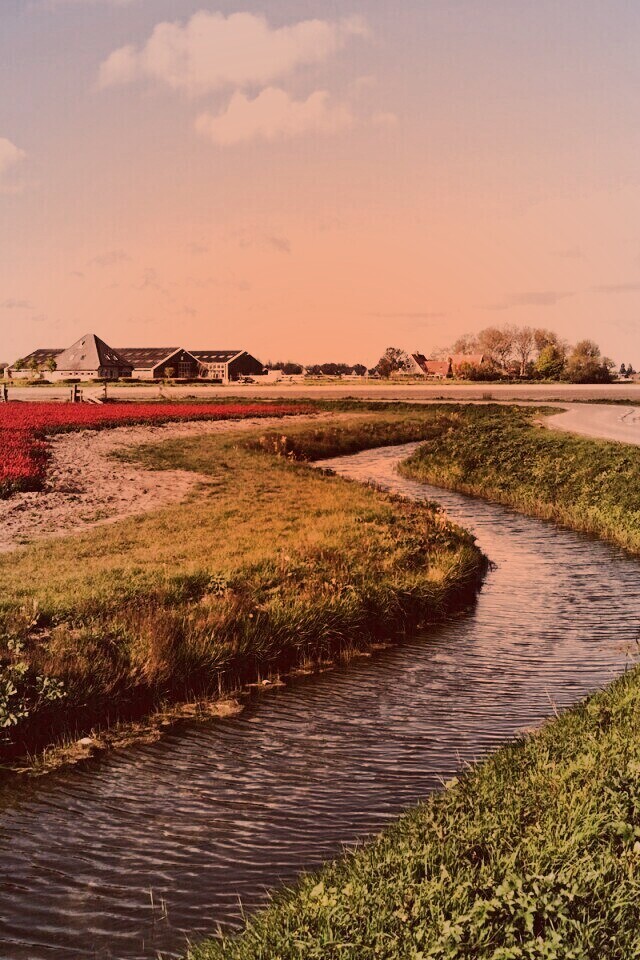 Канал вдоль дороги обои