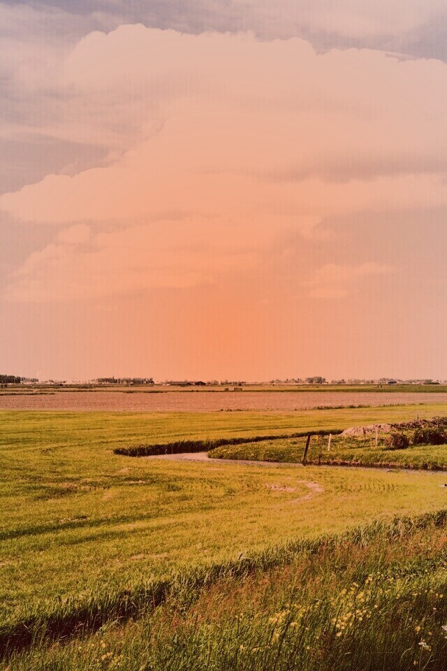 дом на лугу обои