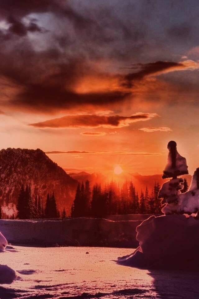 Зимнее солнце обои