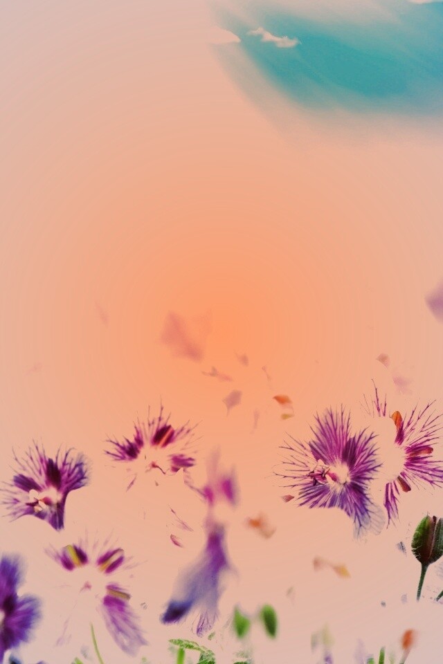 Цветочки обои