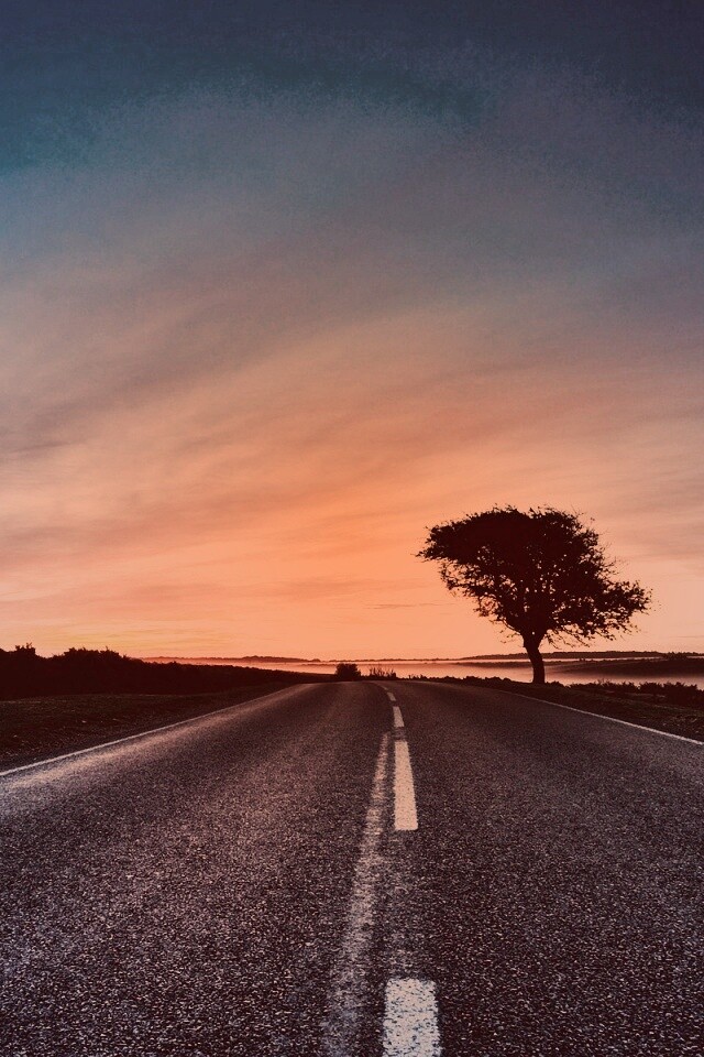 Дорога обои