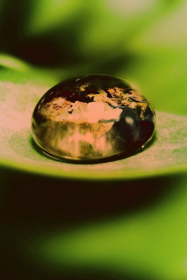 Целый мир в капле воды обои