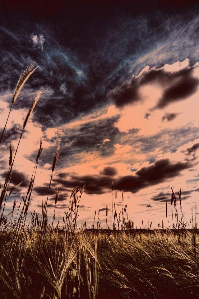 HDR Поле обои