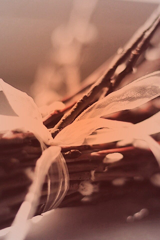 Букет вербы обои