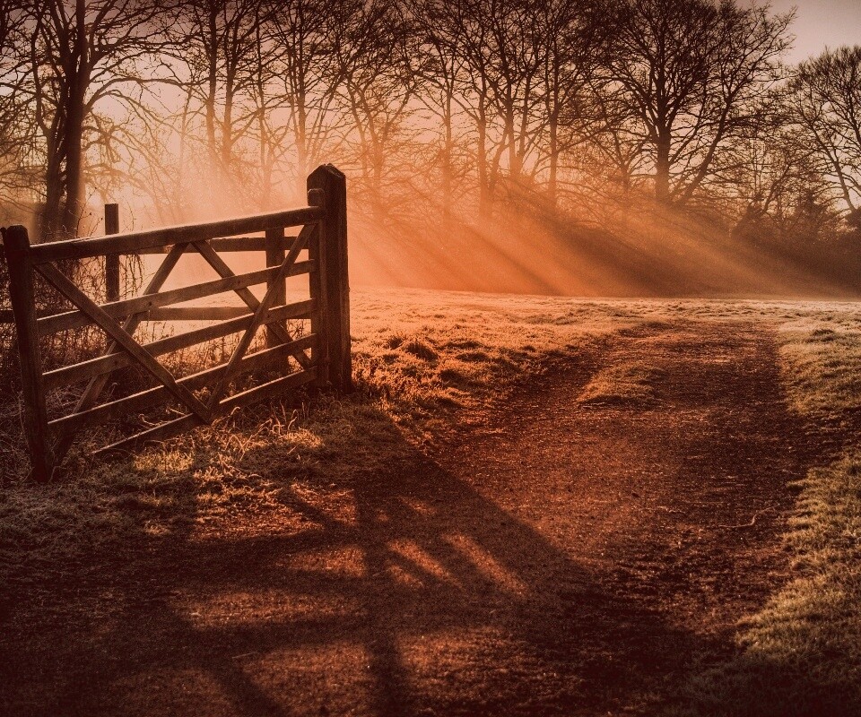 Открытые ворота обои