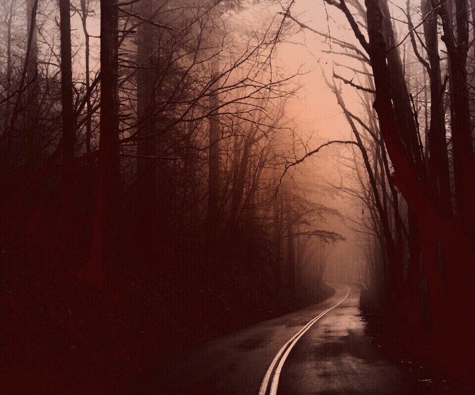 В туман обои