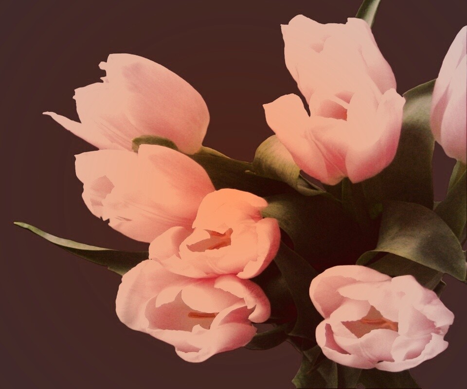 Розовый букет обои