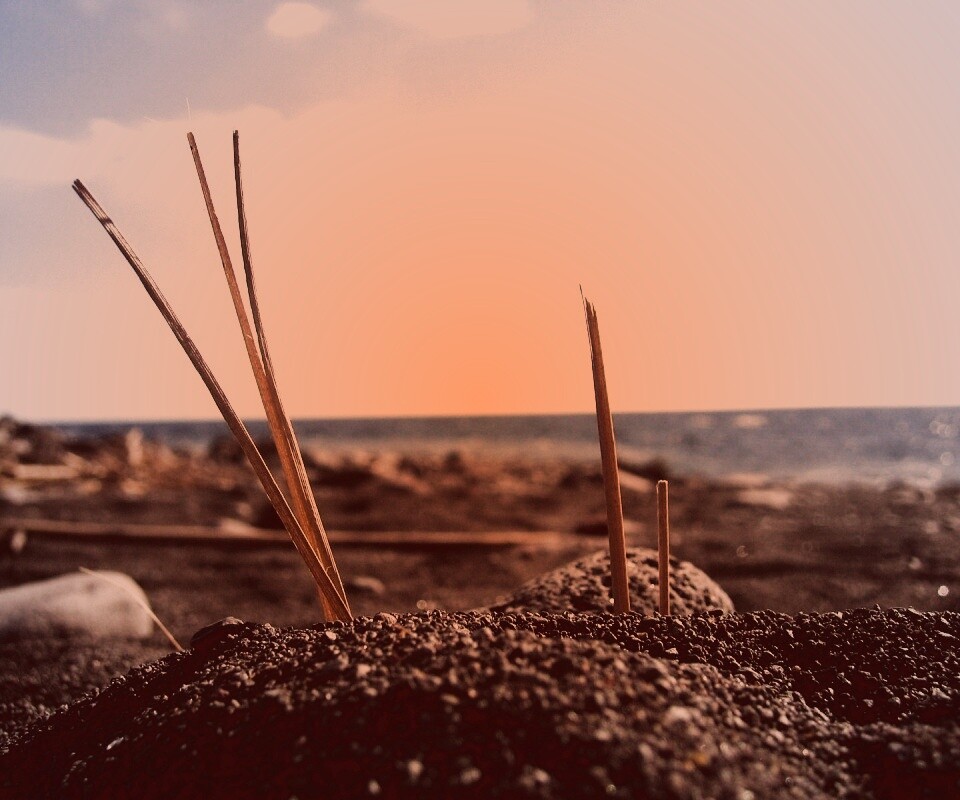 Солома на океанском берегу обои