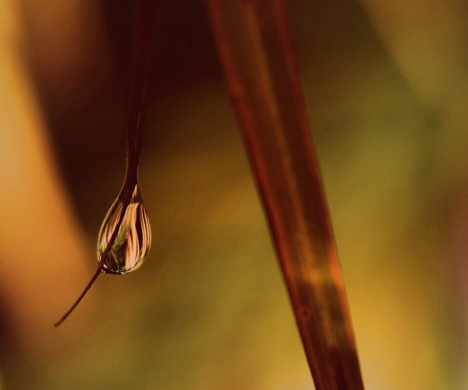Стекающая капля обои