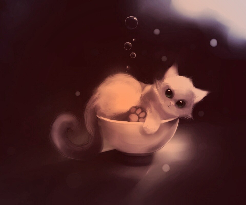 Котёнок в миске обои