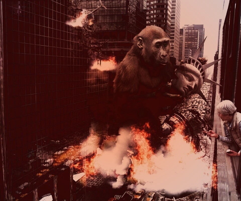 Обезьяна терроизирует Нью-Йорк обои