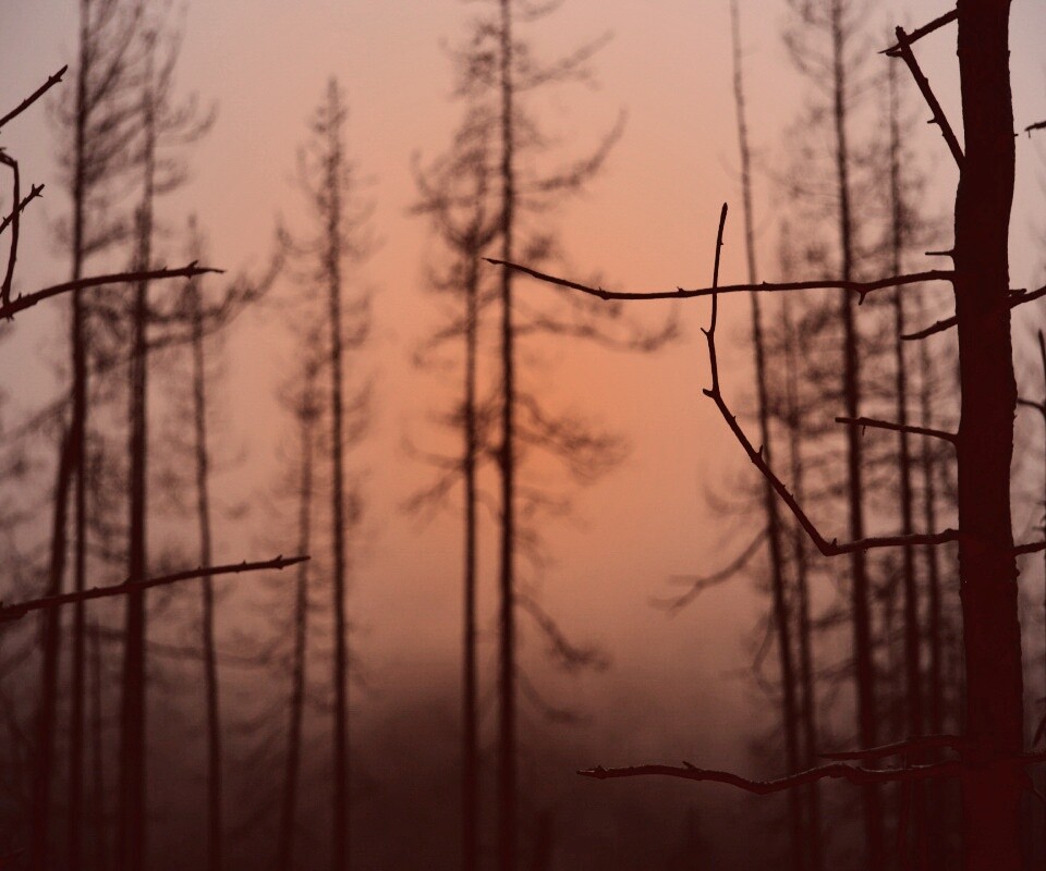 Безысходность обои