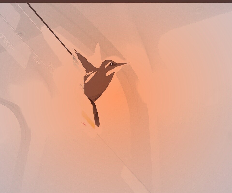 Логотип-колибри обои